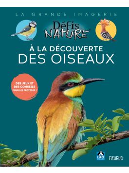 Kit oiseaux en argile  Nature & Découvertes