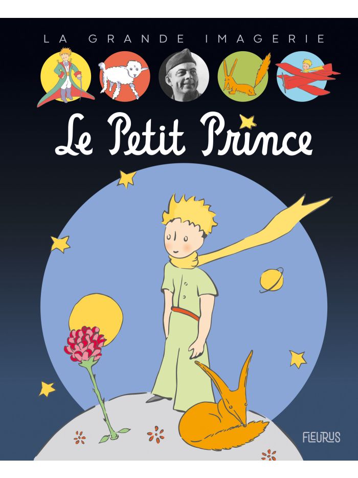Le Petit Prince N.7 Painting by Maria Gubicekova