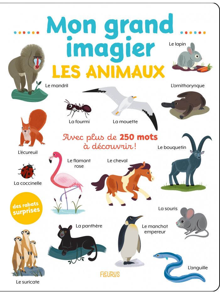 Imagier Animaux: Un grand livre photos avec tous les animaux pour les  enfants : chiens, chats, animaux sauvages & domestiques, animaux marins