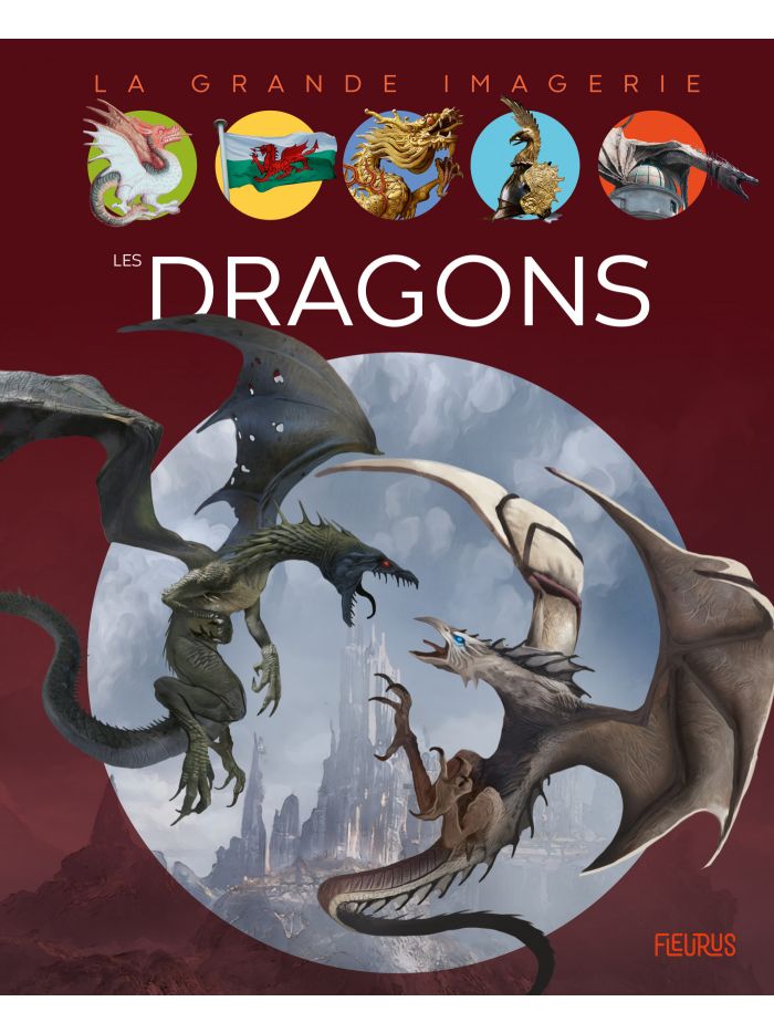 Tout savoir sur les dragons ?